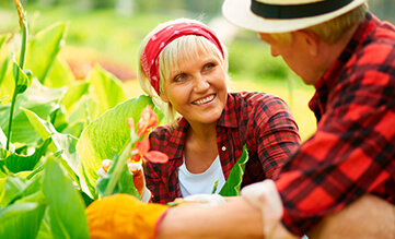 older couple gardening together